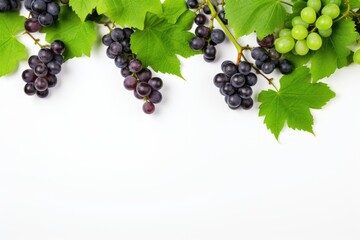 Black juicy grapes on white background. Autumn frame made of grapes.