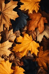 Naklejka na ściany i meble Fall Season Concept, Photo-Realistic Fallen Leaves Created with Generative AI