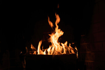 Fireplace with fire burning on logs