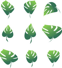 vector leaf set