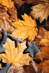 Fall Season Concept, Photo-Realistic Fallen Leaves Created with Generative AI