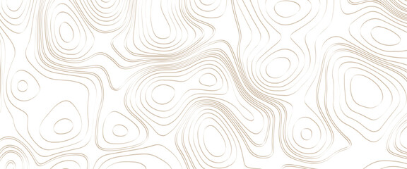 Vector illustration of topographic line contour map, black-white design, luxury white abstract line art, topographic background and texture, monochrome image. 3D waves, white wave paper curved reliefs