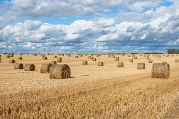 Balles de pailles dans un champ de blé après la moisson après un orage. Ciel nuageux - obrazy, fototapety, plakaty