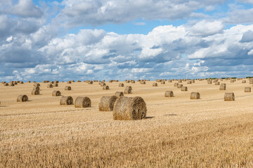 Balles de pailles dans un champ de blé après la moisson après un orage. Ciel nuageux