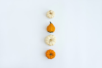 Beautiful decorative pumpkins on white background. Autumn fall season concept