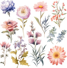 Watercolor floral package collection. Use by fabric, fashion, wedding invitation, template, poster, romance, greeting, spring, bouquet, pattern, decoration and textile.	