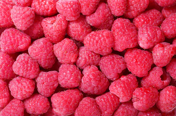 fresh raspberries as background