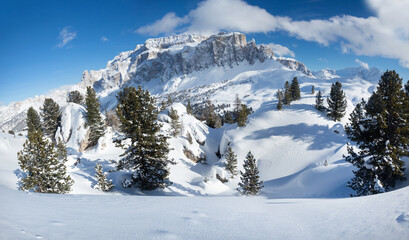 Winter landscape with snow firs and winter mountains. Alps, Italy, Val di Fassa