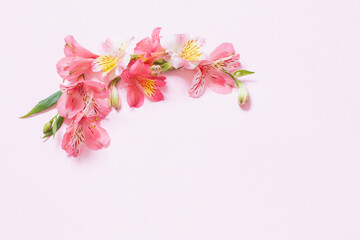 Fototapeta na wymiar alstroemeria flowers on pink background