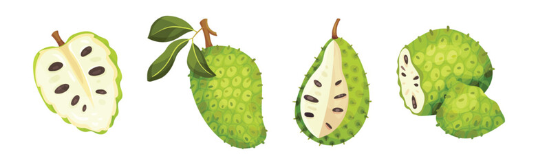 Ripe Green Guanabana Fruit with Thick Rind and Juicy Flesh Vector Set