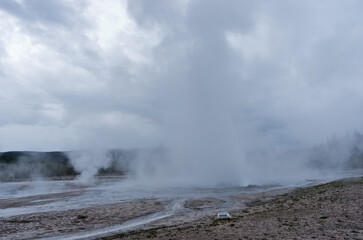 Daisy Geyser in Yellowstone National Park, USA
