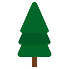 Green Pine Tree Illustration