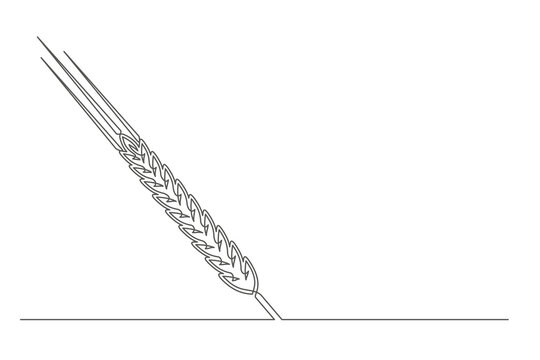 Continuous one line spikelet. Vintage spikelet isolated on a white background. Beer brewer concept. Vector illustration