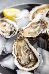 fresh oyster seafood healthy meal oysters food snack on the table copy space food background rustic top view  