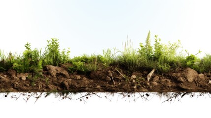 Soil ground or underground layers, grass, land and earth texture. - obrazy, fototapety, plakaty