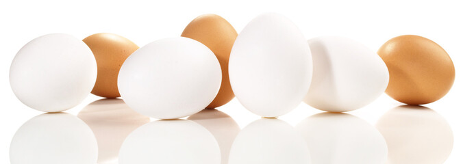 White and brown Eggs Panorama - Isolated in Transparent PNG Background