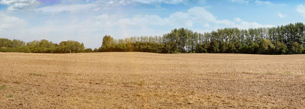 Acker nach der Ernte im Sommer. Brachland Panorama