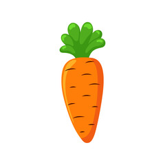 Funny cartoon carrot. Cute vegetable. Vector food illustration isolated on white background