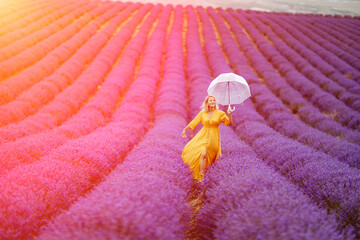 Woman lavender field. A middle-aged woman in a lavender field walks under an umbrella on a rainy...