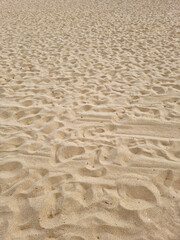 
A close-up of the sand on the beach. 