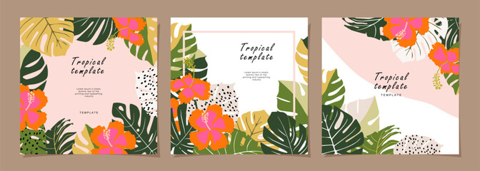 Tropical template set for poster, card, cover, label, banner in modern minimalist style and simple summer design templates with tropical leaves, flower, and plants.