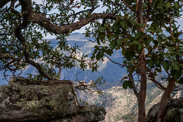 Barrancas del cobre, sierra Tarahumara en Chihuahua