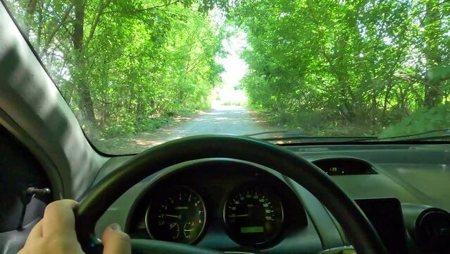 driving in a car on a bad road. travel by car. view from the driver's point of view. car cabin. man driving. tree tunnel on the road. beautiful road and nature. autotravel.