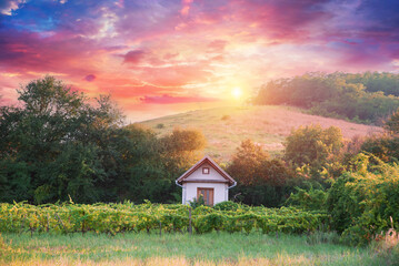 Barrel Wineglasses Cheese And Bottle In Vineyard At Sunset