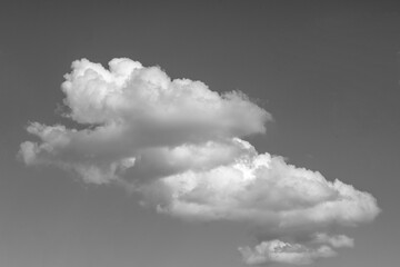 Single white cloud isolated on black background and texture. Brush cloud black background.