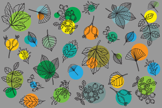 Illustration Pattern of the leaves with circle corcle on gray background.