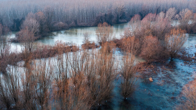 Aerial view of flooded woodland in winter with frozen water surface