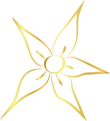 aesthetic gold flower line art element design