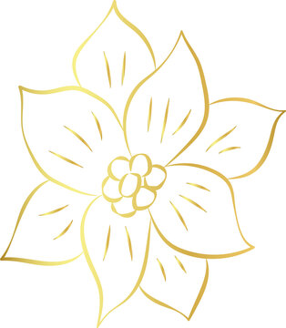 aesthetic gold flower line art element design