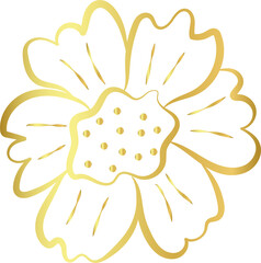 aesthetic gold flower line art element design
