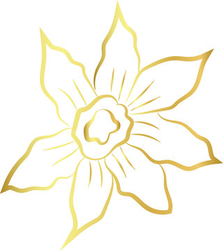 aesthetic gold flower line art element design