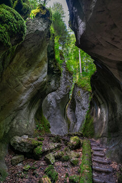 Eine H&ouml;hle, die oben offen ist und durch den Spalt Licht hereinl&auml;sst, mit Pflanzen bewachsen. Das Kirchle bei Dornbirn ist ein m&auml;rchenhafter Platz, verborgen im Wald auf einem H&uuml;gel. Felsbrocken und M