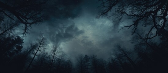 A view of the sky with a moody atmosphere seen through the treetops, creating a natural frame. The picture provides a background with space for text. The tree's silhouette enhances the overall scene.