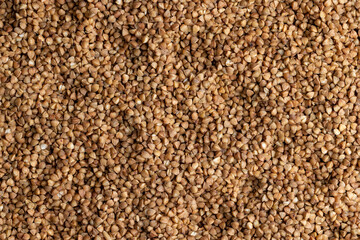 A large amount of roasted buckwheat harvest