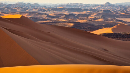 Fototapeta premium Sand dunes in the desert 