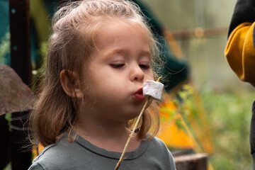Cute little girl blowing on hot marshmallow on stick.