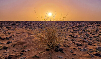Sahara desert in Mauritania at sunset 