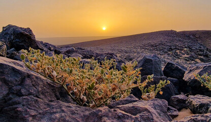 mauritania sunset in the sahara desert 