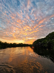 Sunset photo in the forest and lake 