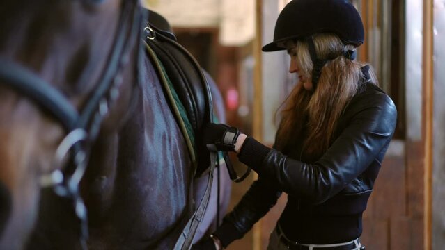 Concentrated professional female equestrian adjusting saddle on horseback talking to pet smiling. Portrait of beautiful Caucasian young woman getting ready for training with graceful animal