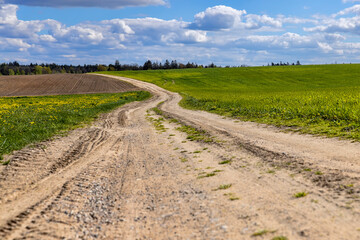 Fototapeta na wymiar unpaved road in rural areas in spring, unpaved road