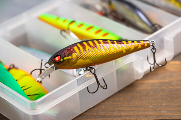 One plastic wobbler of a set of fishing lures