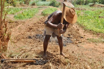 A farmer tills his parched soil in Africa
