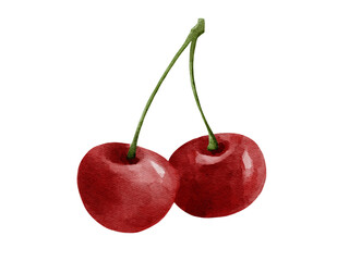 Watercolor illustration of cherry berries
