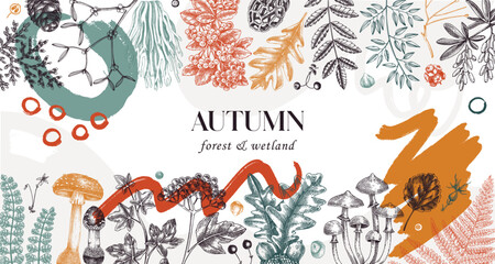 Hand drawn autumn forest background. Collage style banner with ferns, mushrooms, fall leaves and autumn plant sketches. Trendy botanical design template with abstract elements, geometric shapes