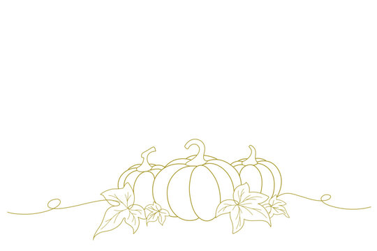 recommend clip art: harvest pumkins line art style. organic vegetable garden. thanksgiving, halloween element vector